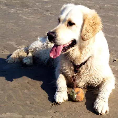 Suedkap C-01 Pelzerhaken